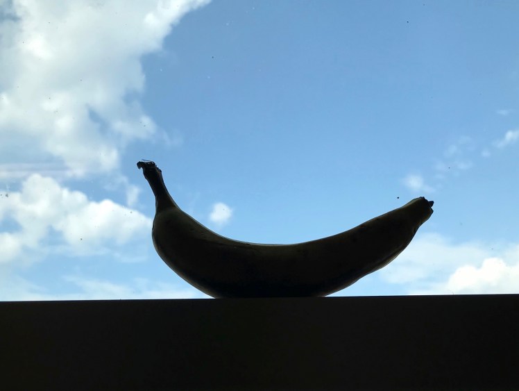 Image 9-8-18 at 4.58 PM